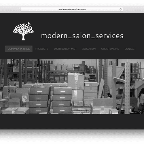 Modern Salon Services website. Modern specializes 