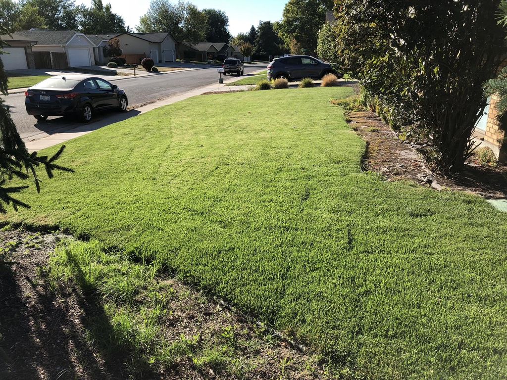 Sod After