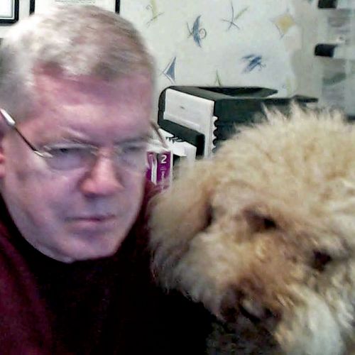 Collaborating with my Goldendoodle, Dexter