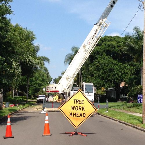 Ergonomic Tree Care Profile Picture