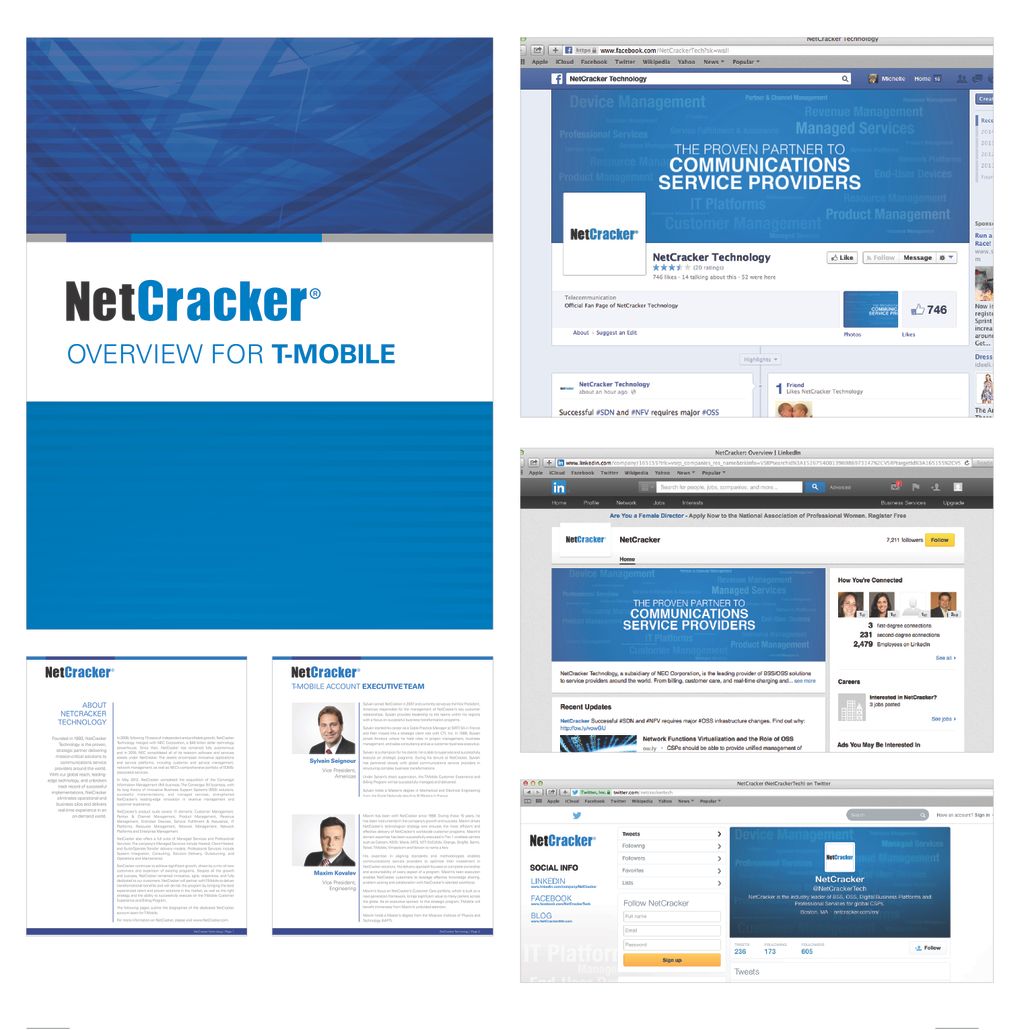 NetCracker Technology 
Worked with Marketing Execs