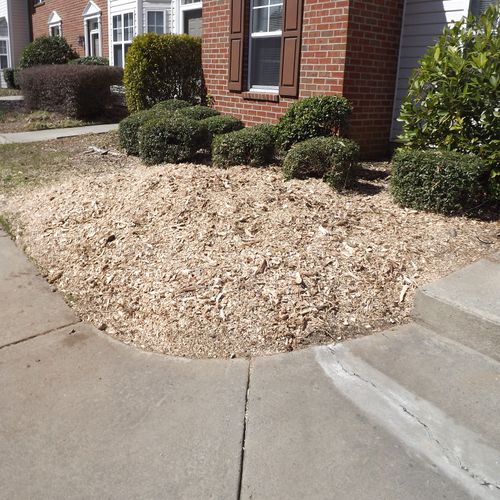 After stump grinding and cleaning up.