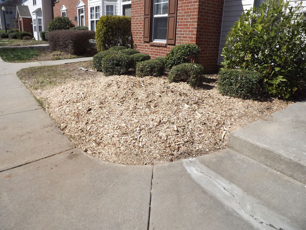 After stump grinding and cleaning up.