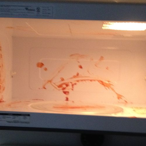 microwave, before cleaning
