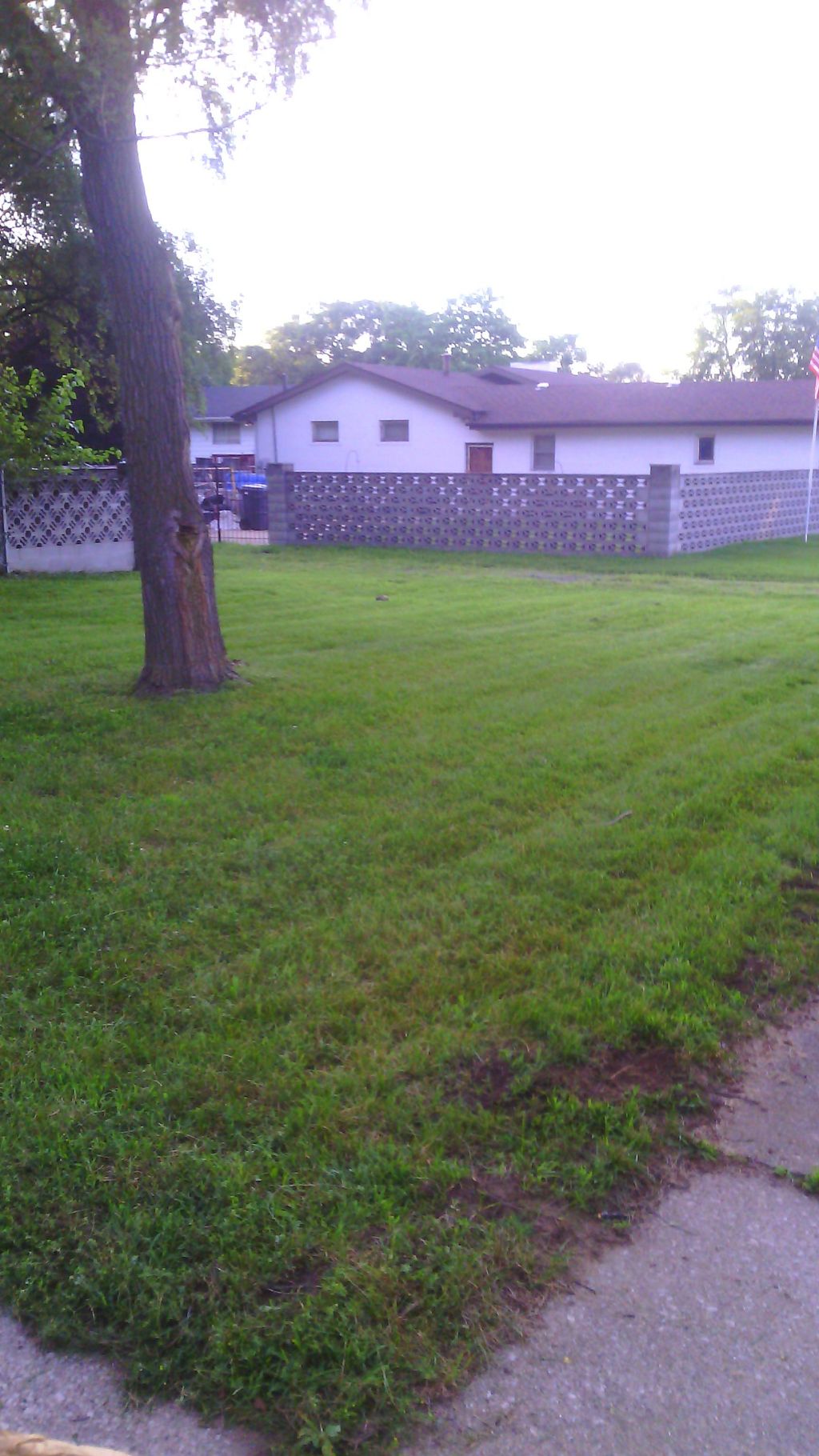 Backyard After (Property # 2120)