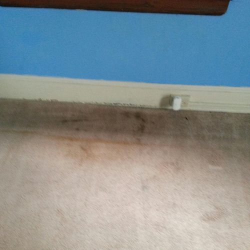 This is a home we provided carpet steam cleaning s