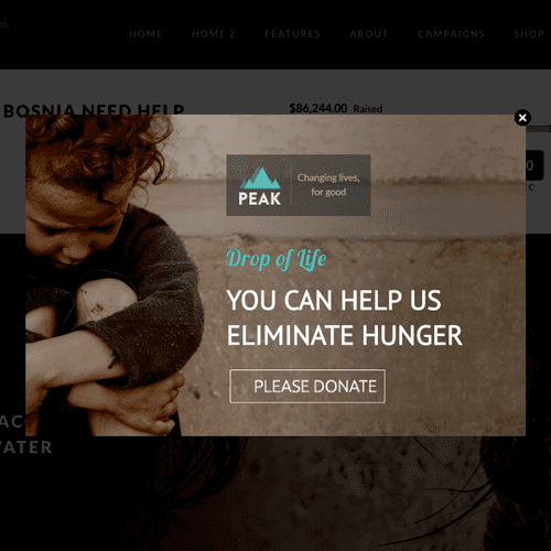 Non-profit donations website conversion campaign