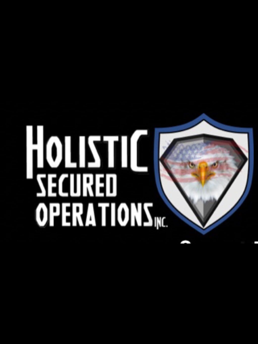 Holistic Secured Operations, Inc.