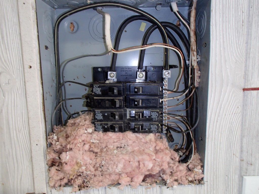 This is inside of an electrical panel.  Mice will 