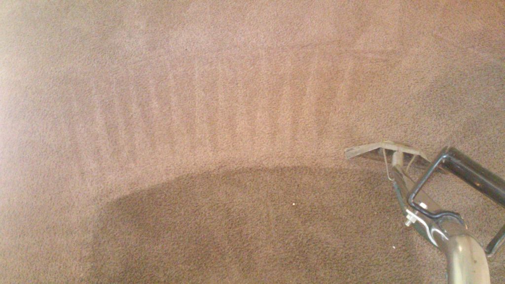 Steam Carpet Cleaning only before and after.
