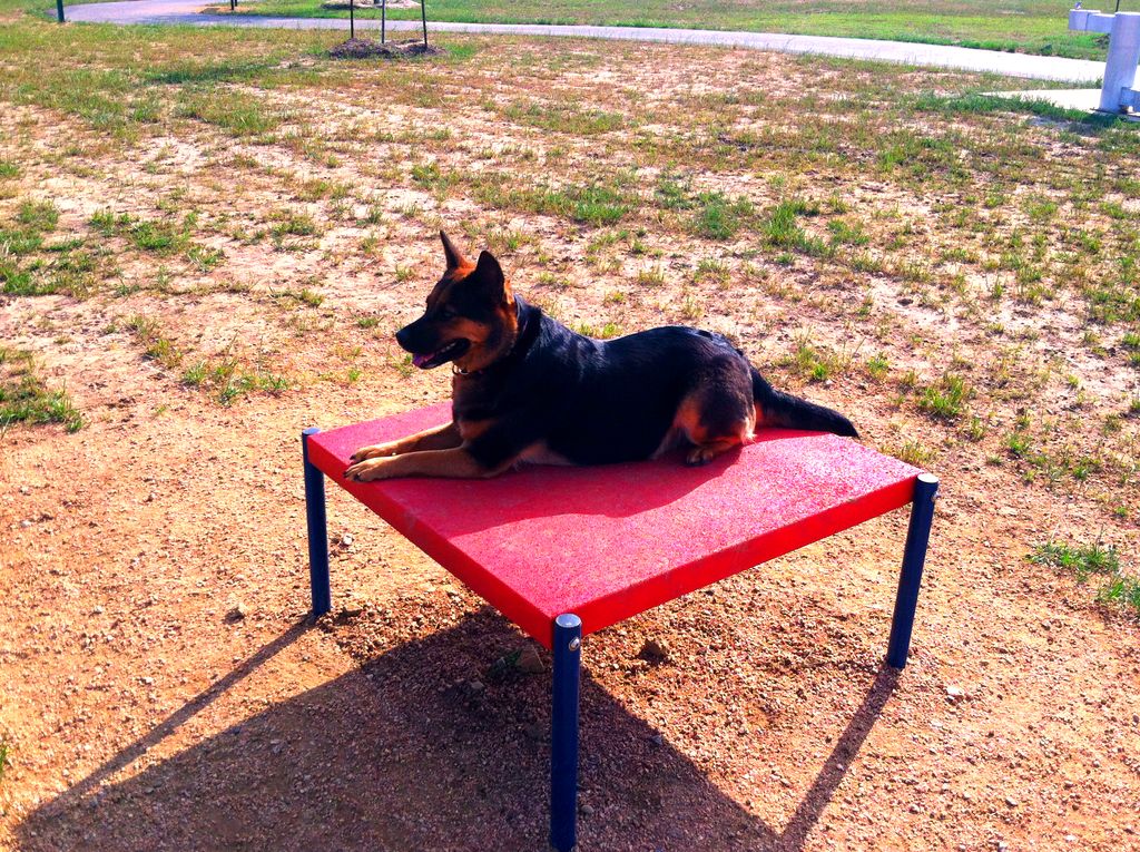 My Right hand girl Remy Roo