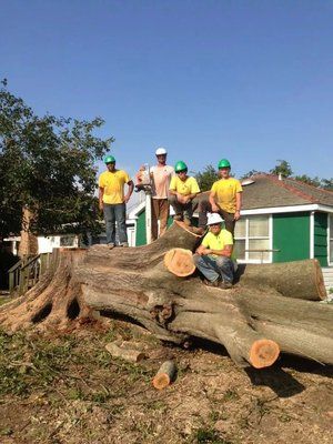 Louisiana Tree Company Team