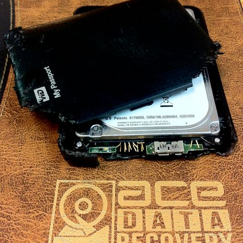 Hard drive chewed up by a puppy. 100% of data was 