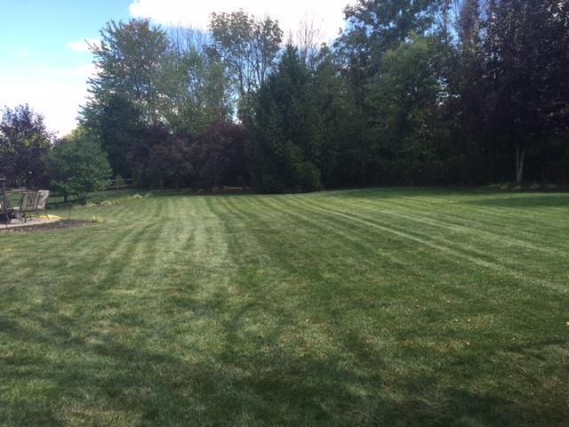 Lawn service includes, mow, trim, blowing. Every l