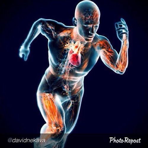 Does your body perform like a well oiled machine. 