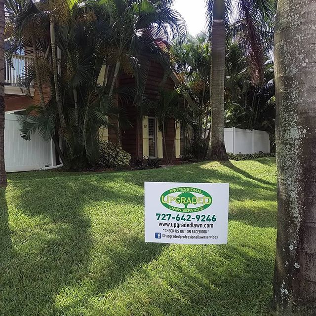 Another beautiful lawn, serviced by Upgraded Profe