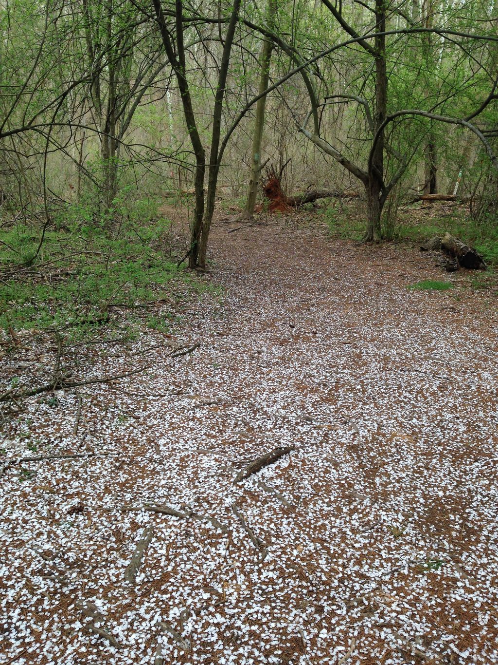 "Office space" in the spring!
