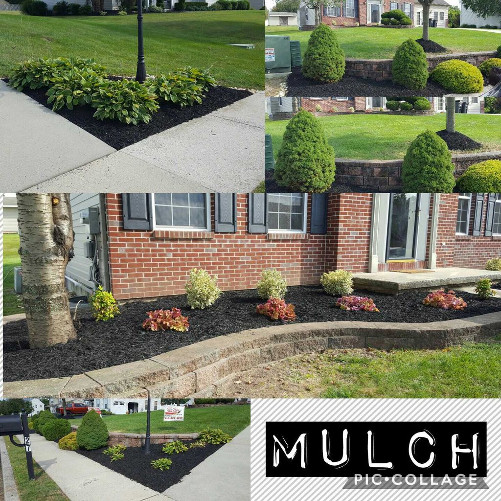 Mulch w/ Plant-Shrub Install