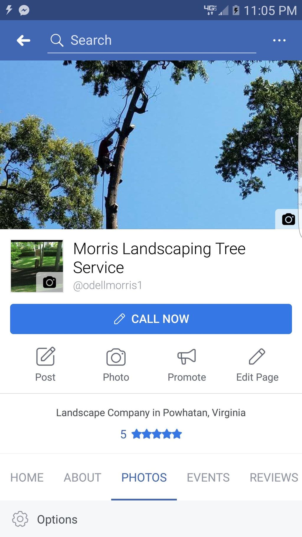 Morris landscape tree service