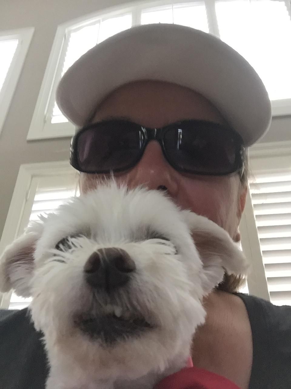 Izzy is a tiny one and a cuddler 