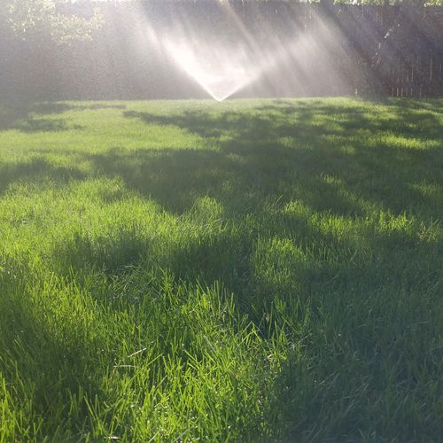 Lawn cared for by Liberty Lawns