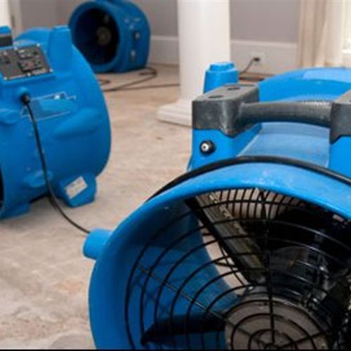 We  have over 200 air movers, dehumidifiers, airsc