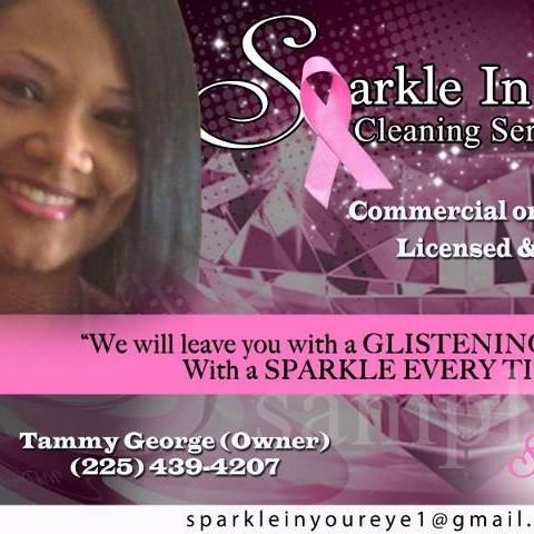 Sparkle in Your Eye Cleaning Services, LLC
