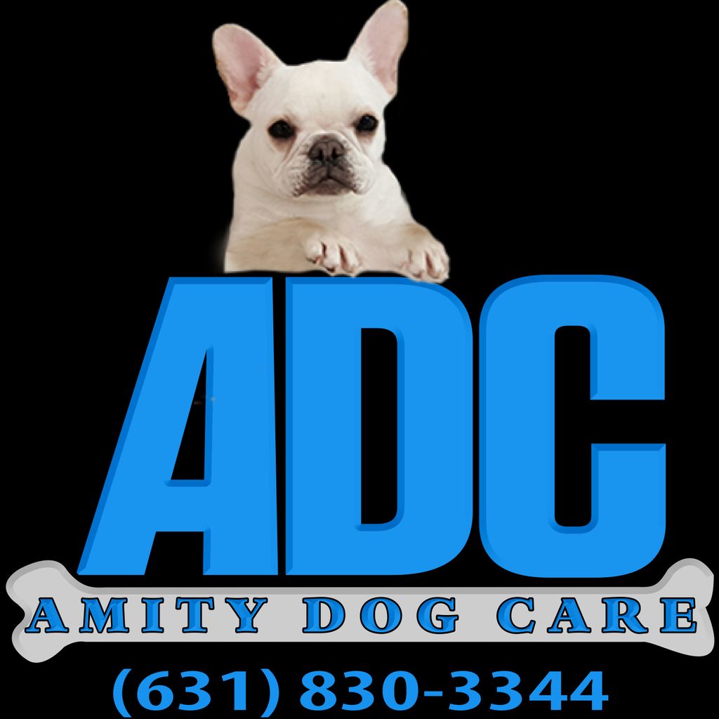 Amity Dog Care, LLC