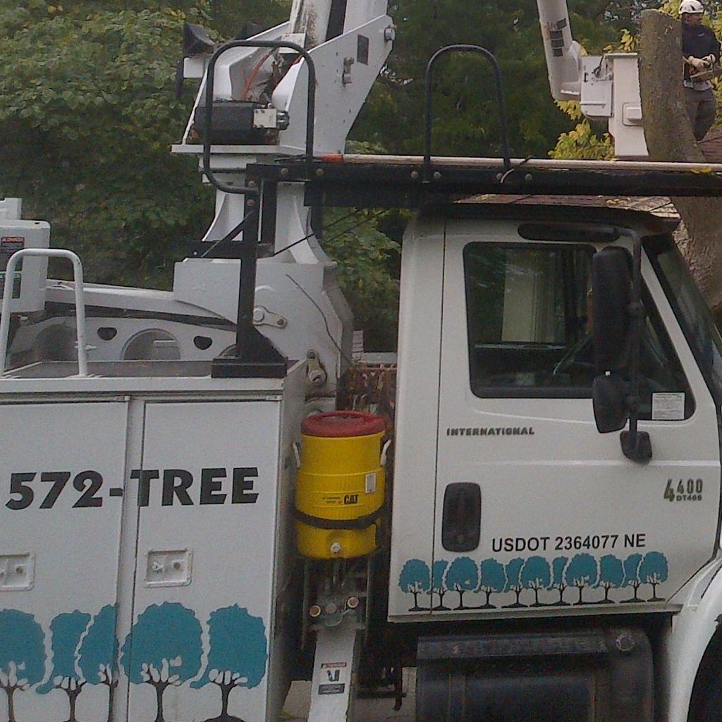 Torpy Tree Care