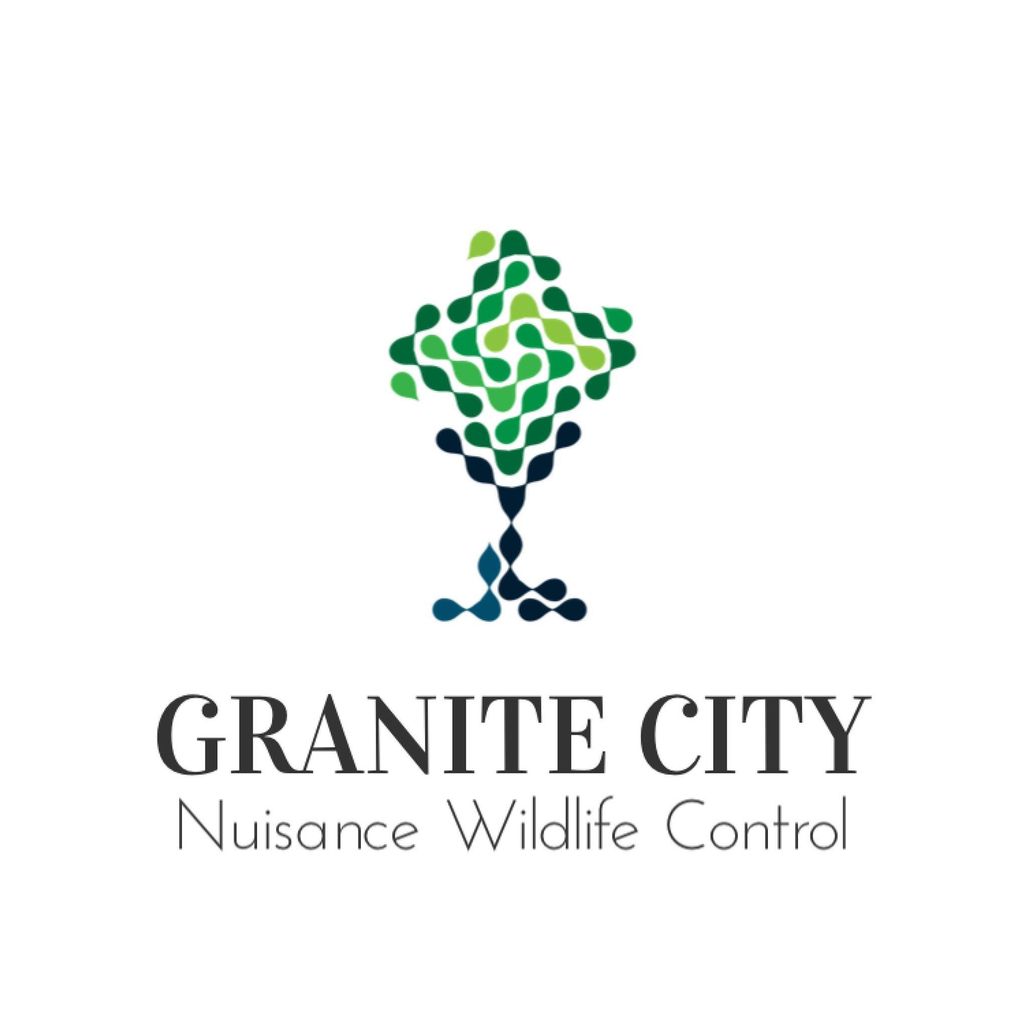 Granite City Nuisance Wildlife Control
