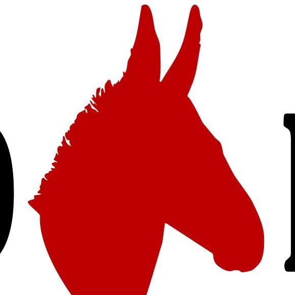 Red Mule LLC