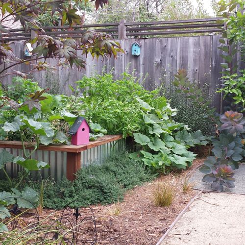 A custom Vegetable garden. Oakland, CA