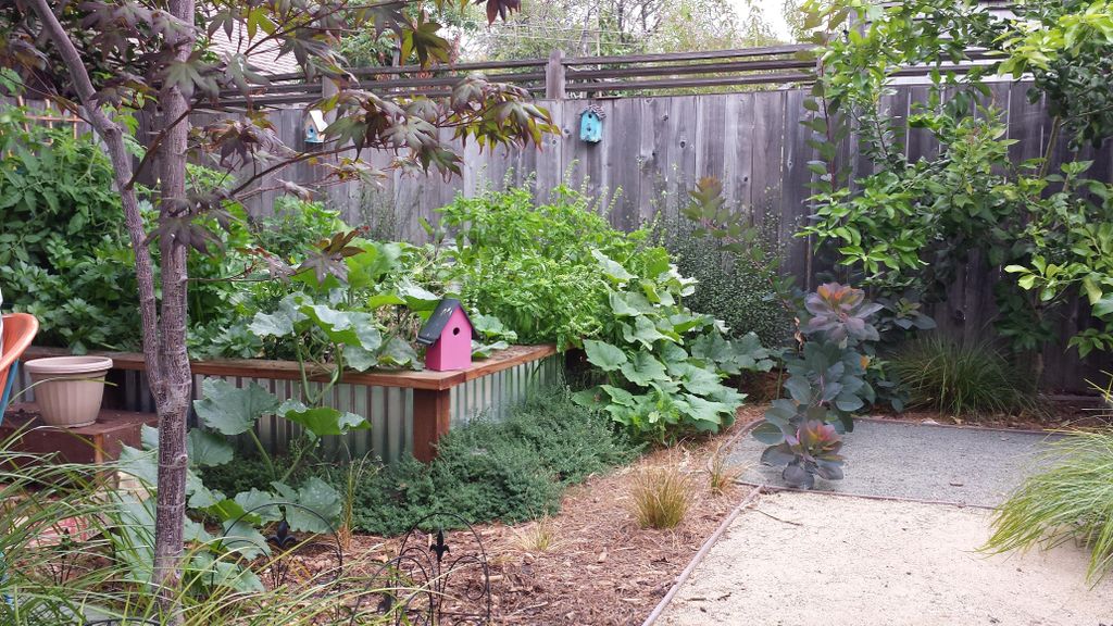 A custom Vegetable garden. Oakland, CA