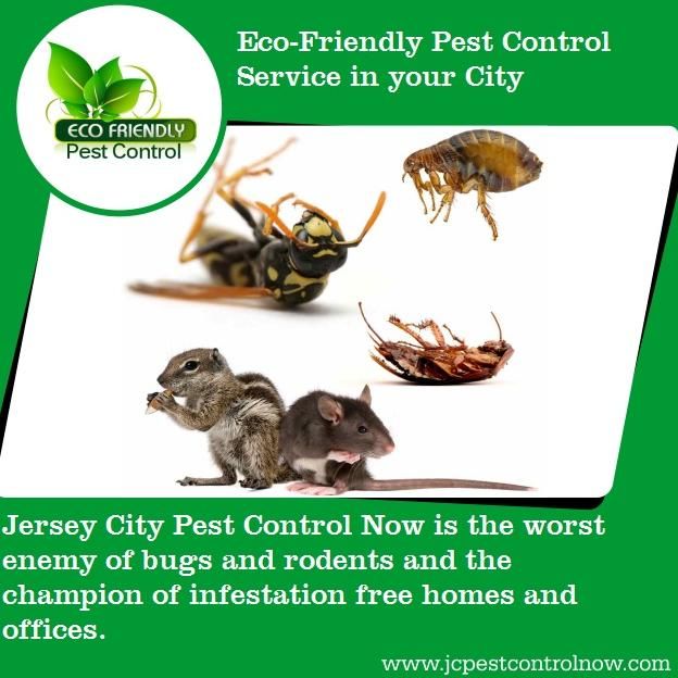Jersey City Pest Control Now