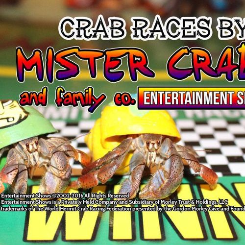 Crab Racing Tampa, Florida