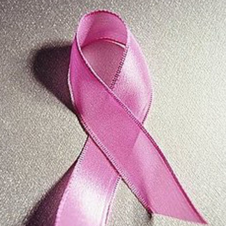 Pink Ribbon Cleaning & Organizing Services