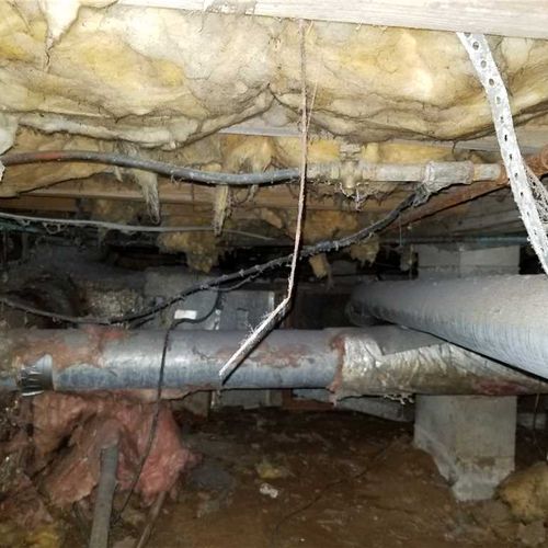 Examination of this crawl space showed soggy, wet 