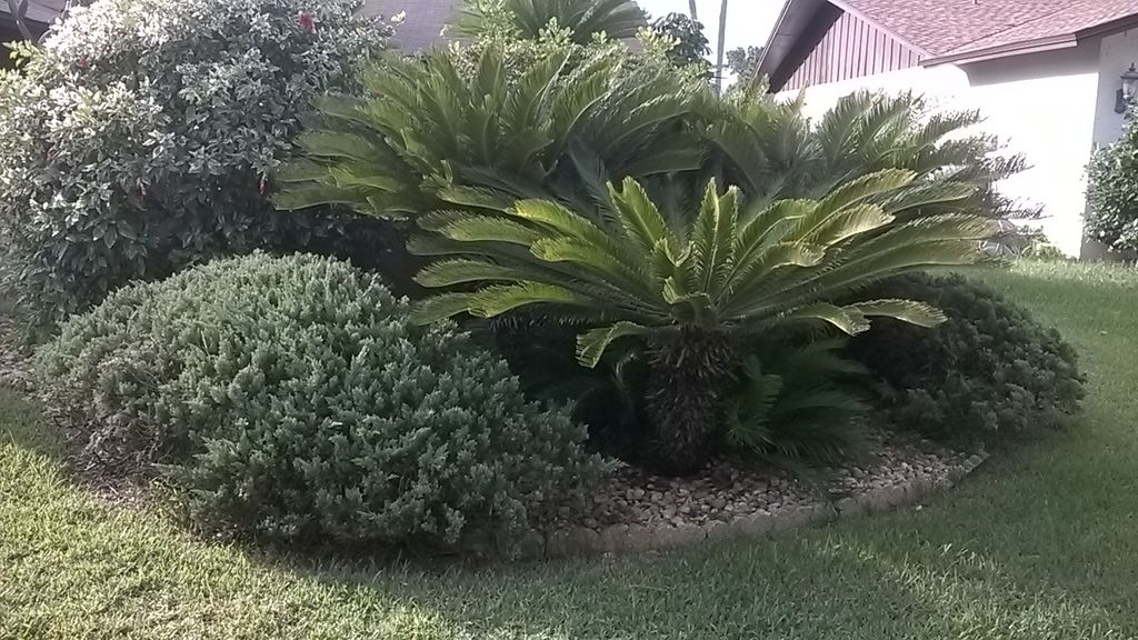 Choices are unlimited at Kastner's Lawn Service. V