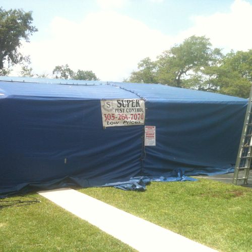 Tent Fumigation on homes