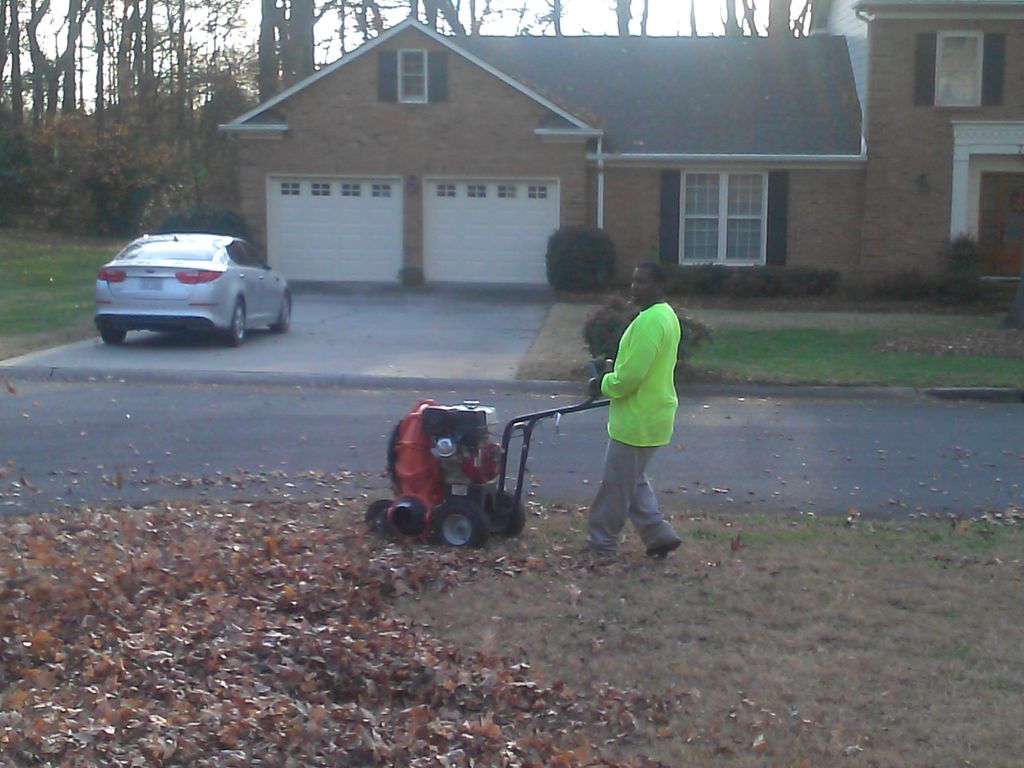 Leaf removal