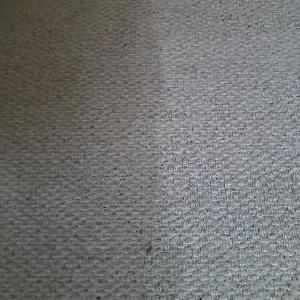 A-Pro Carpet, Upholstery, Tile & Grout Cleaning