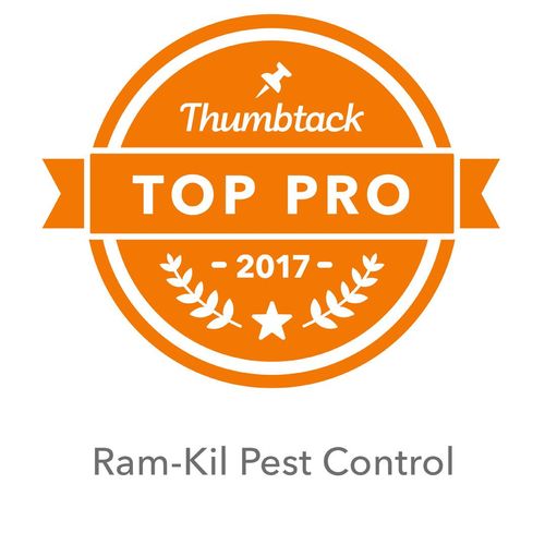 We are very honored to have been named a TOP PRO h