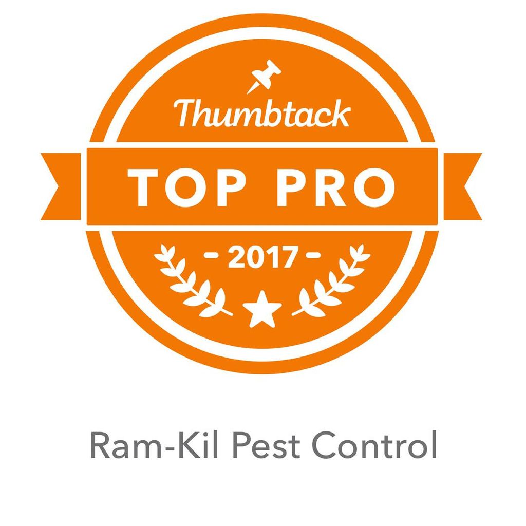 We are very honored to have been named a TOP PRO h