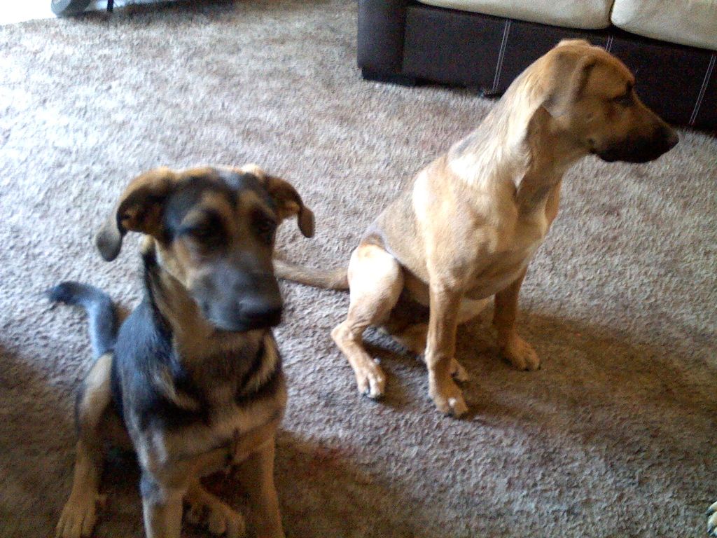 Penelope and Coda