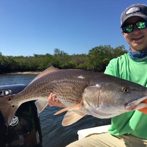 Jack with an over slot Tampa Bay Redfish!