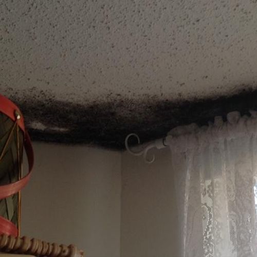 Mold growth expanding on ceiling of a condo.