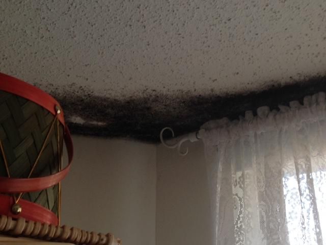Mold growth expanding on ceiling of a condo.