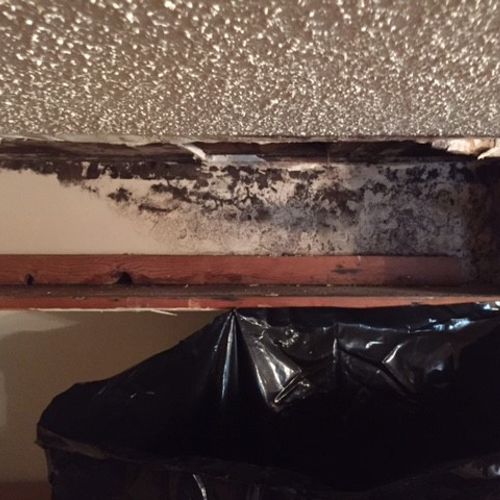 Leaking hot water line in ceiling caused mold to g