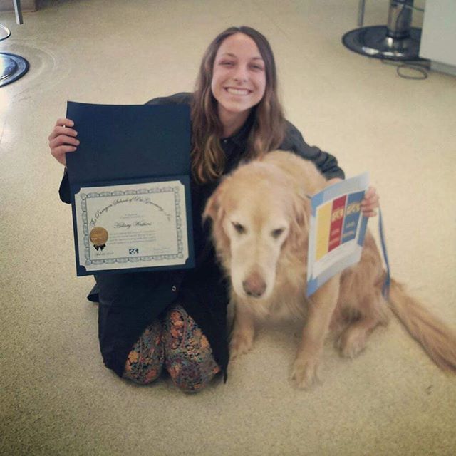 I graduated from The Paragon School of Pet groomin
