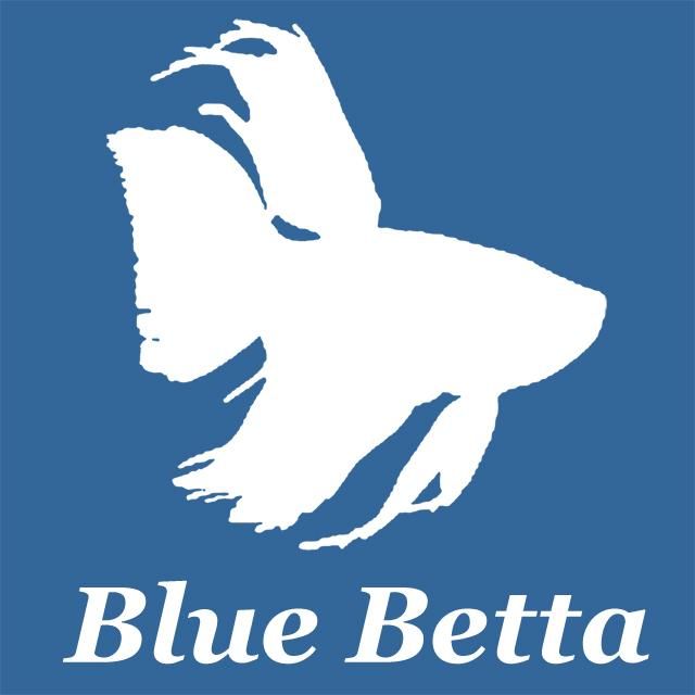 Blue Betta